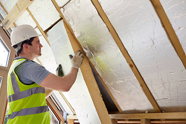 Best Insulation Maintenance and Repair in Mcnair, VA